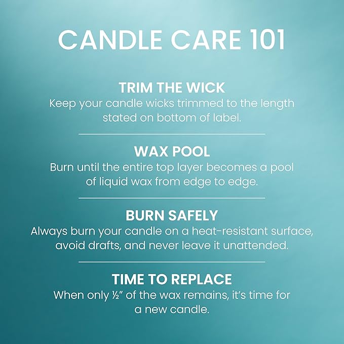 Yankee Candle Medium Pillar Scented Candle with up to 115 Hour Burn Time, Premium Plant Wax Blend for Consistent Burn, 14.25 oz Pillar Candle with Room Filling Fragrance, Catching Rays