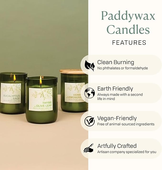 Paddywax Eco Collection Soy Wax Blend Candle in Glass Jar, Bamboo & Green Tea Scent, Green Vessel with Wood Lid, 8 oz
