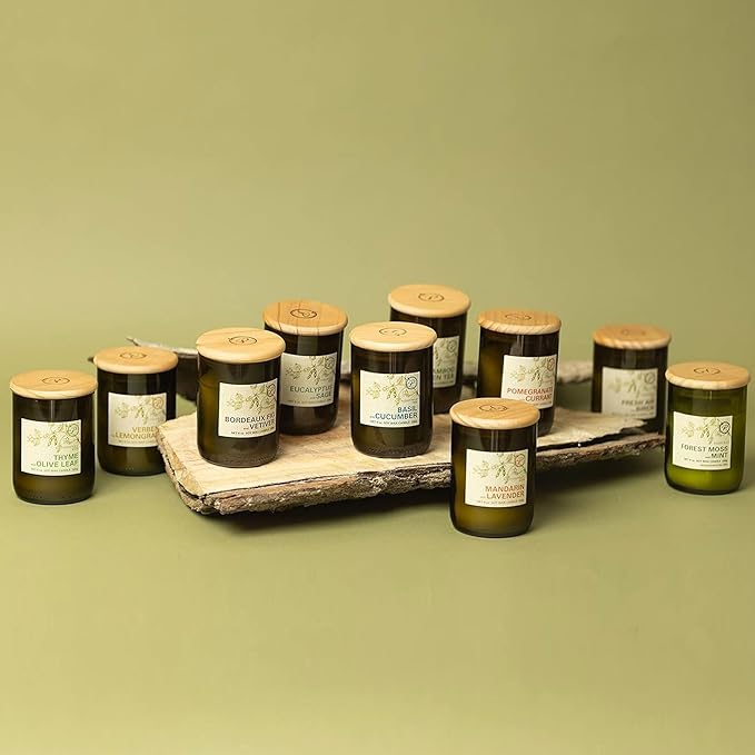Paddywax Eco Collection Soy Wax Blend Candle in Glass Jar, Eucalyptus & Sage Scent, Green Vessel with Wood Lid, 8 oz