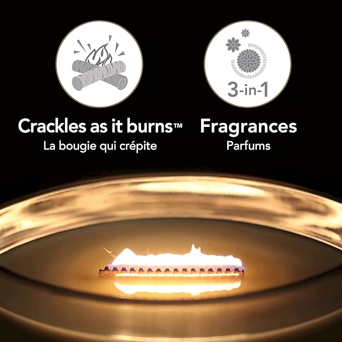 WoodWick Ellipse Trilogy Scented Candle | Warm Woods | with Crackling Wick | Burn Time: Up to 50 Hours